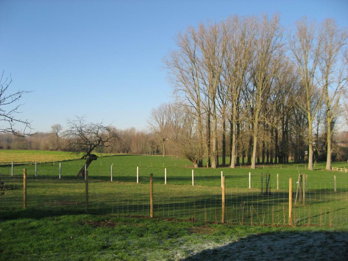 Vakantiewoning Tilia Zottegem Bagian luar foto